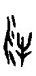 0物.gif