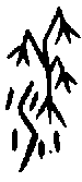 0黍.gif