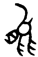 1能.gif