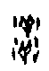 0洋.gif