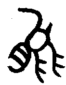 1能.gif