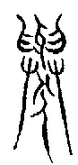 1舉.gif