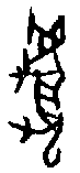 0虎.gif