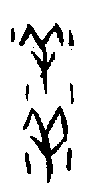 0洋.gif