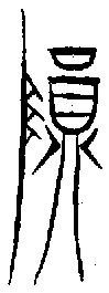 1隕.gif