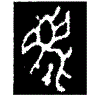 1麀.gif
