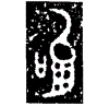 1鉤.gif