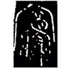 1寝.gif