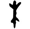 0朱.gif