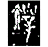 1踐.gif