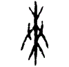 0奏.gif