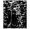 1徂.gif