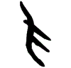 0爪.gif