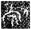 1勉.gif