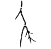 0尾.gif