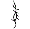 0豕.gif