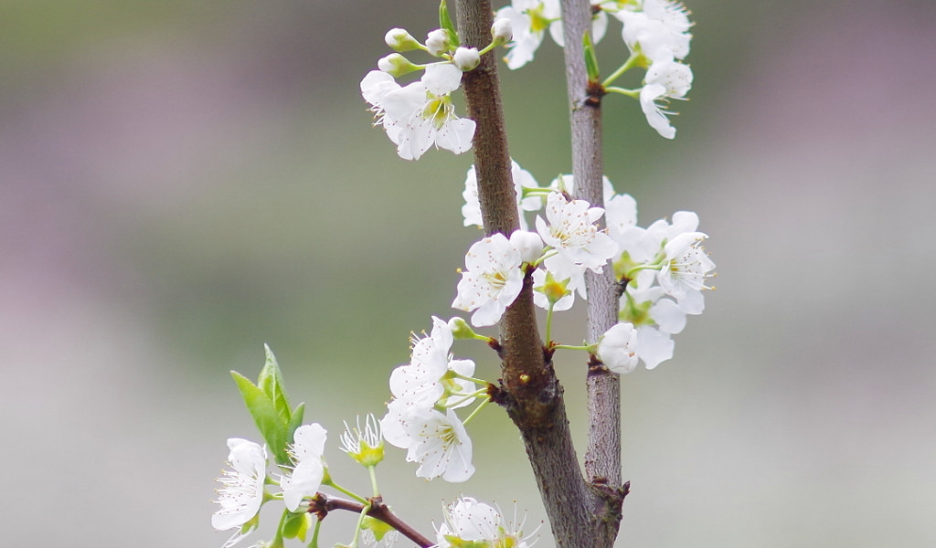 2015-04-03 01 01 26_副本.jpg