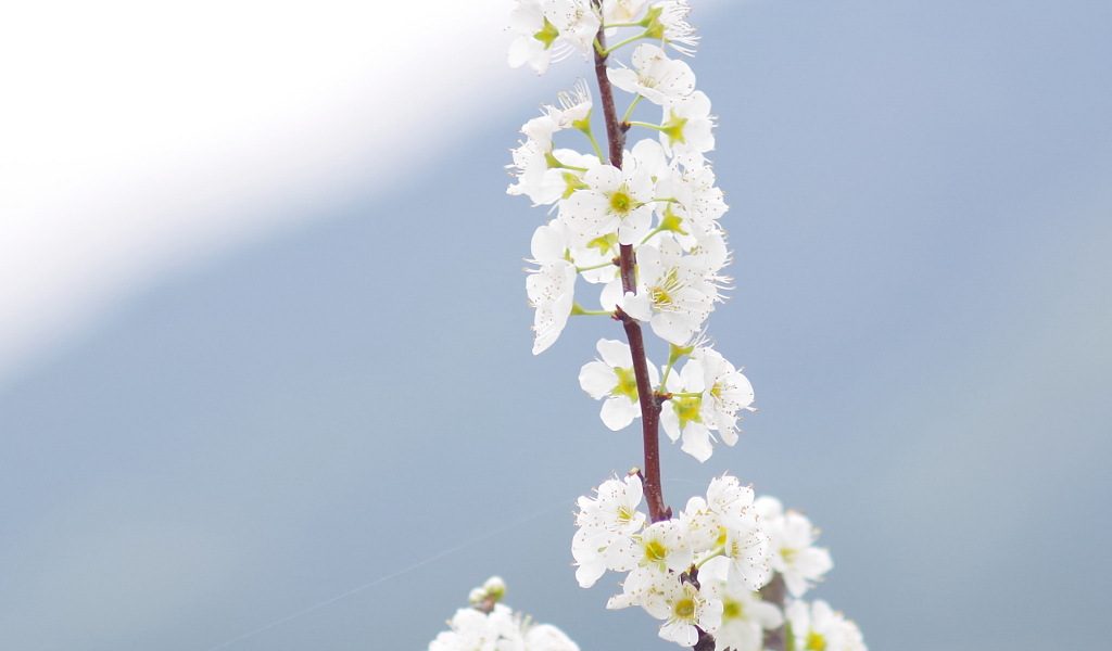 2015-04-03 01 02 26_副本.jpg
